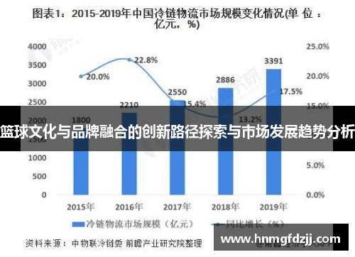 篮球文化与品牌融合的创新路径探索与市场发展趋势分析