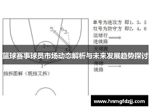 篮球赛事球员市场动态解析与未来发展趋势探讨